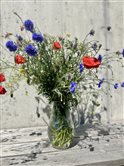 img 032241